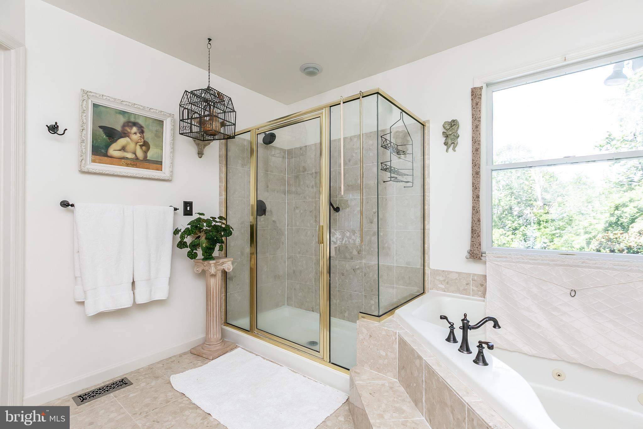 9843 Magledt Road Baltimore, MD 21234 - Photo 21 of 41 Separate Shower