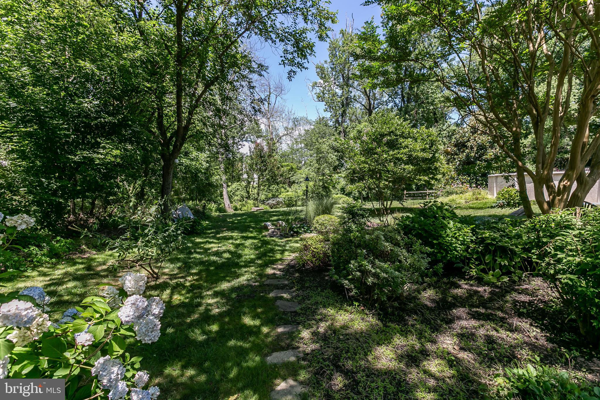 9843 Magledt Road Baltimore, MD 21234 - Photo 35 of 41 Beautiful Flowers and Plants