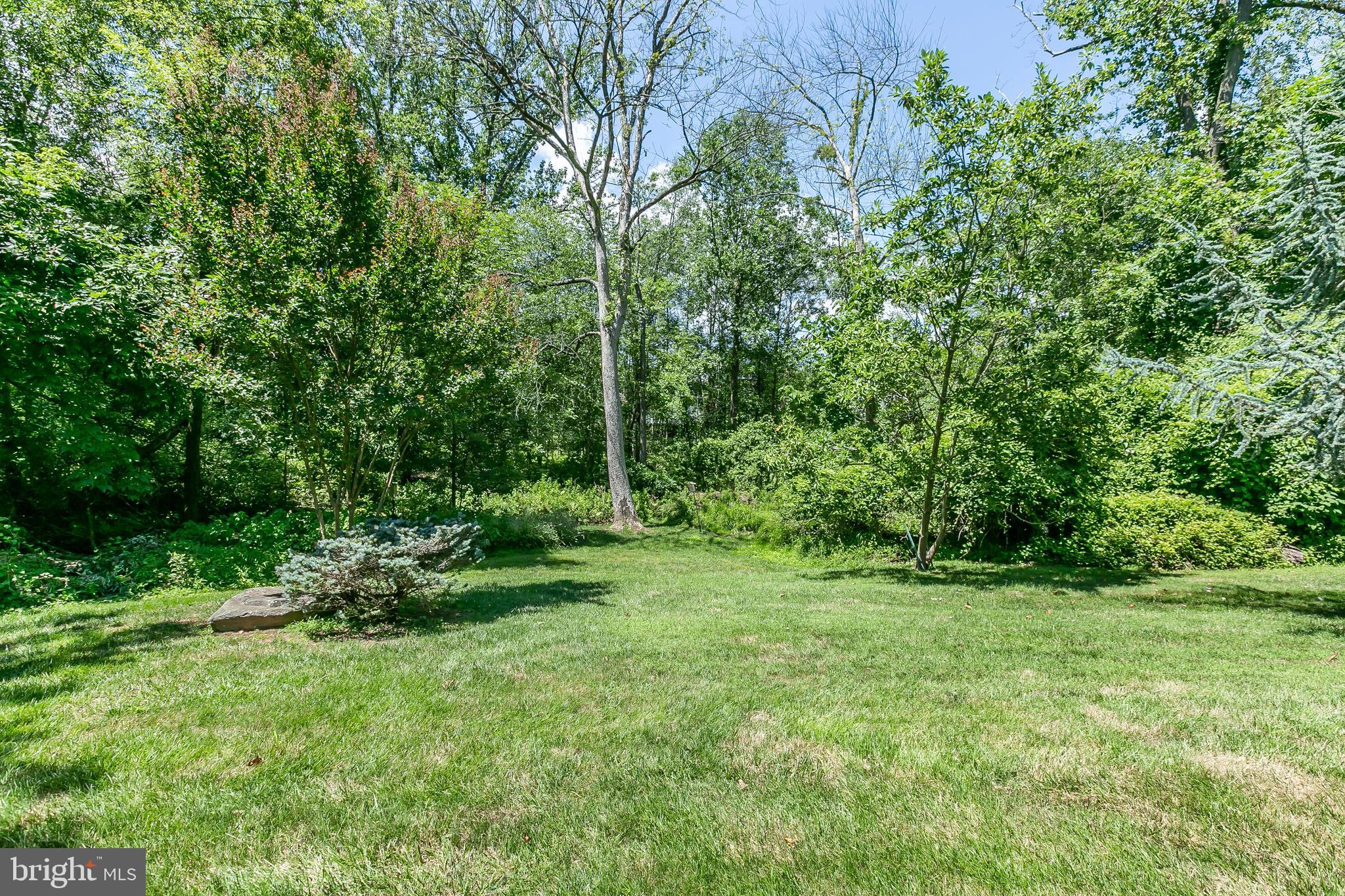 9843 Magledt Road Baltimore, MD 21234 - Photo 38 of 41 Small Stream Beyond These Trees