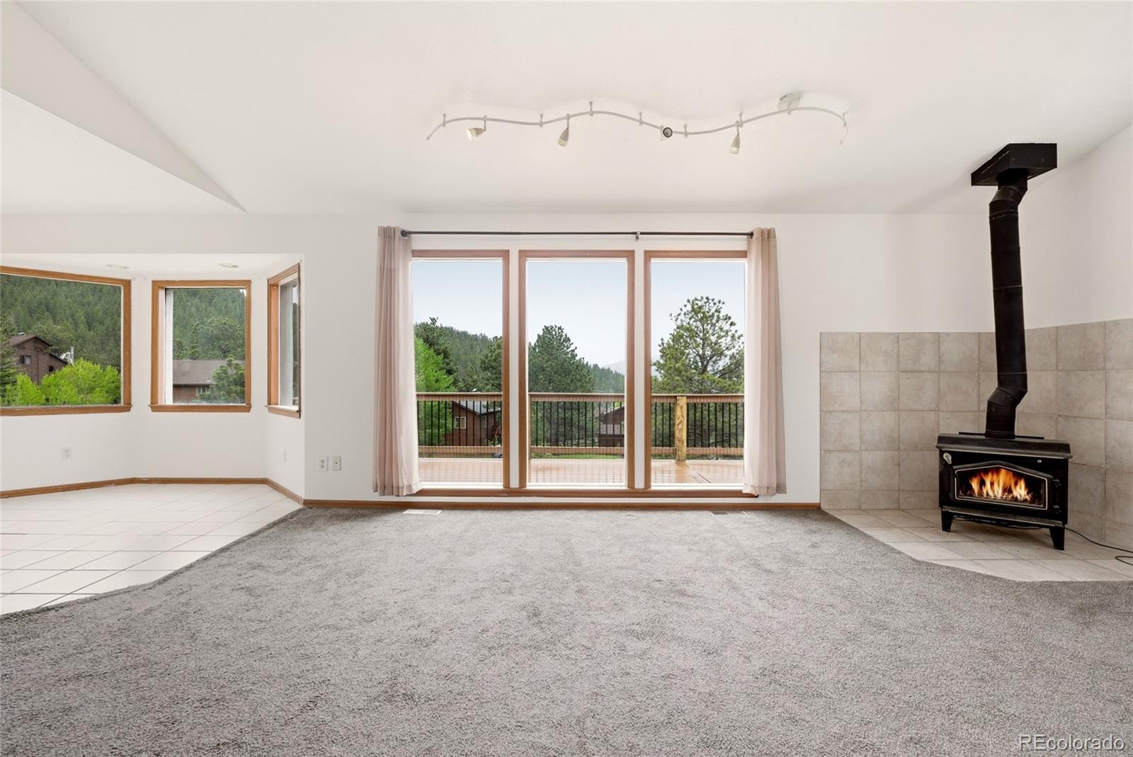 73 Sunlight Lane Bailey, CO 80421 - Photo 9 of 50
