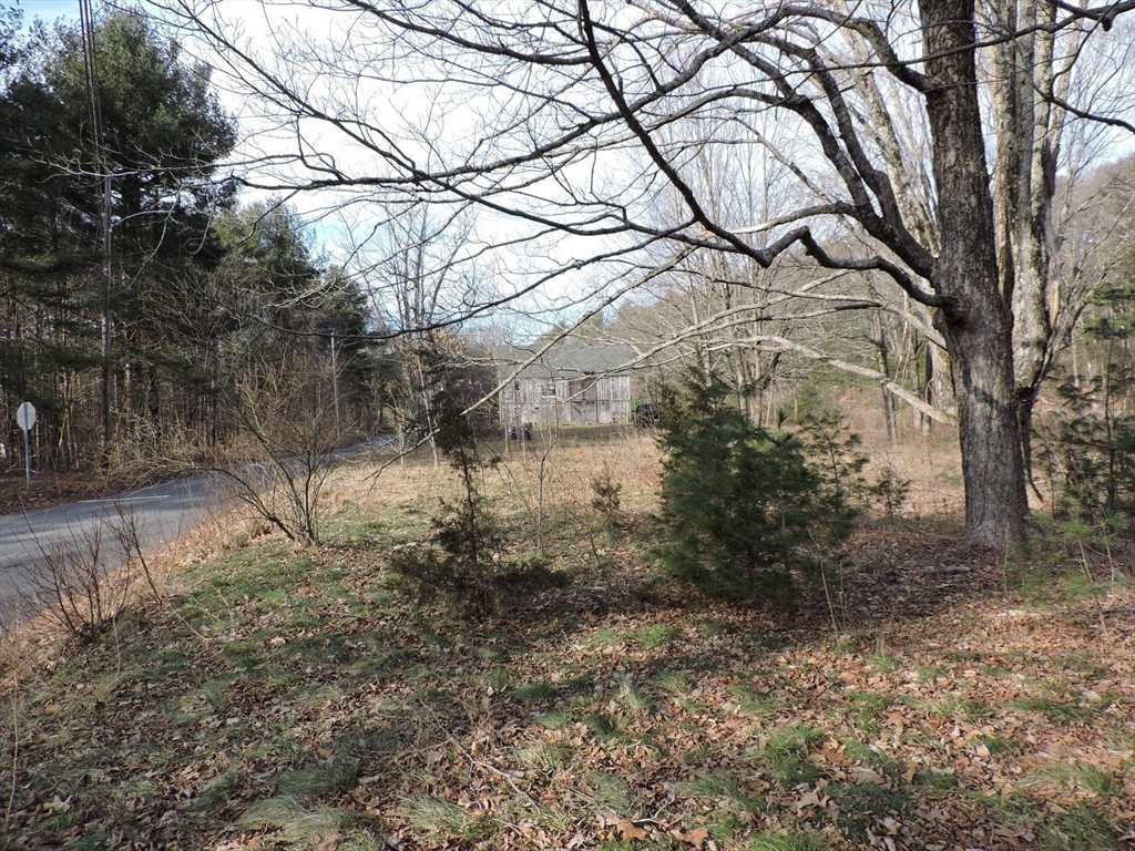 179 Upper Gore Road Webster, MA 01570 - Photo 11 of 42 a backyard of a house with lots of green space