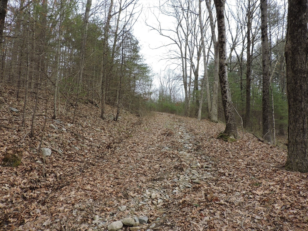 179 Upper Gore Road Webster, MA 01570 - Photo 14 of 42 a view of a yard with trees