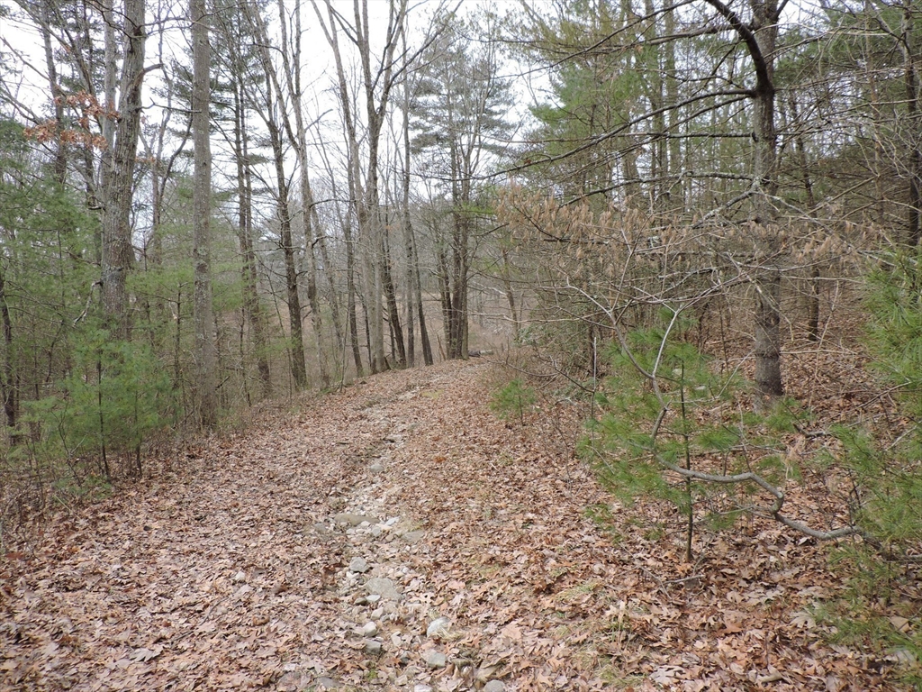 179 Upper Gore Road Webster, MA 01570 - Photo 15 of 42 a view of backyard with green space