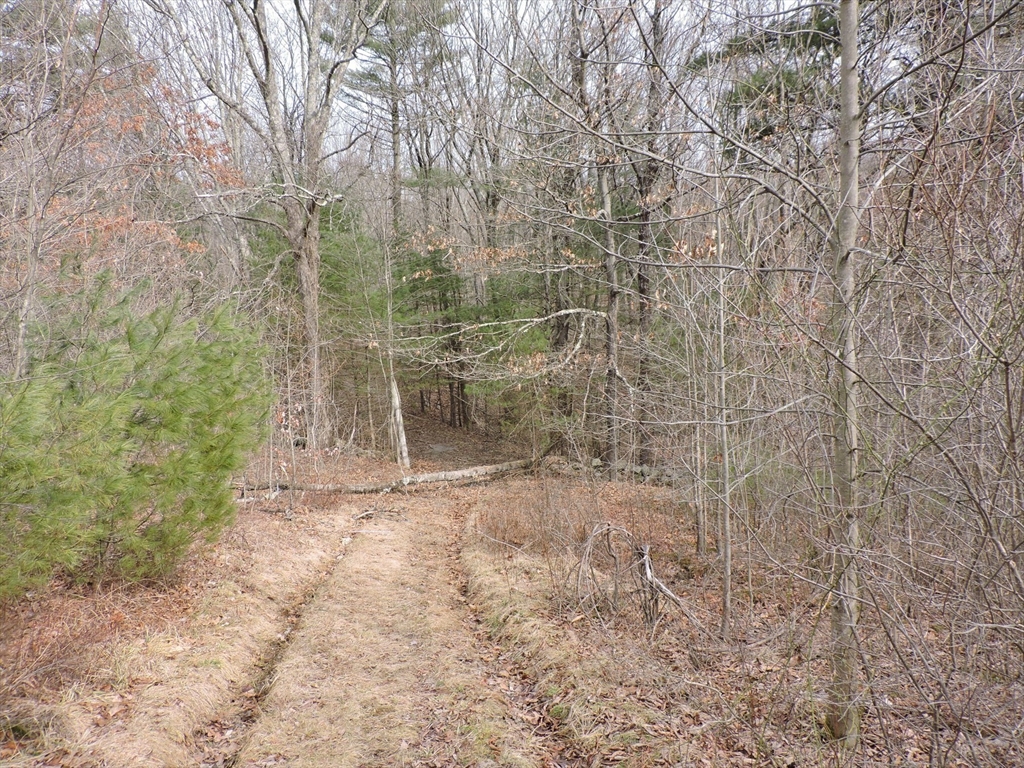 179 Upper Gore Road Webster, MA 01570 - Photo 16 of 42 a view of a yard with trees