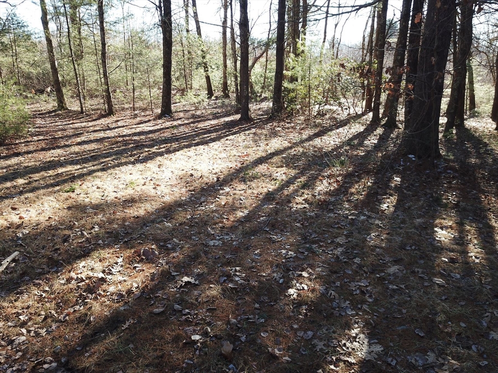 179 Upper Gore Road Webster, MA 01570 - Photo 18 of 42 a view of a yard with trees