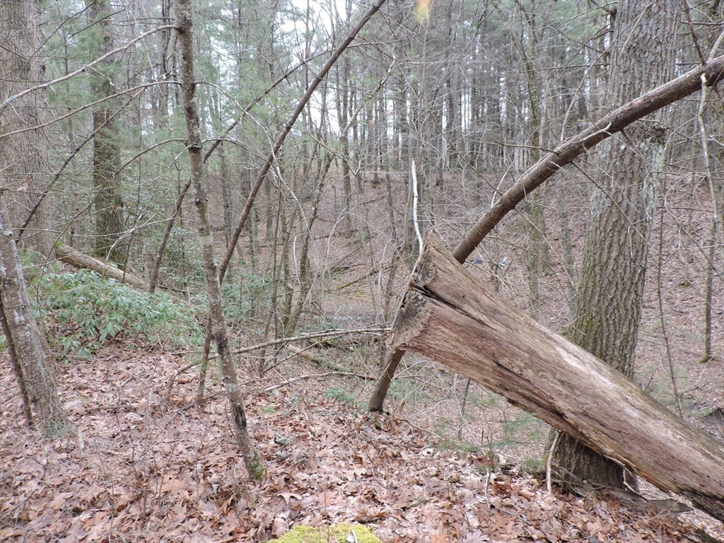179 Upper Gore Road Webster, MA 01570 - Photo 19 of 42 a backyard of a house with lots of green space