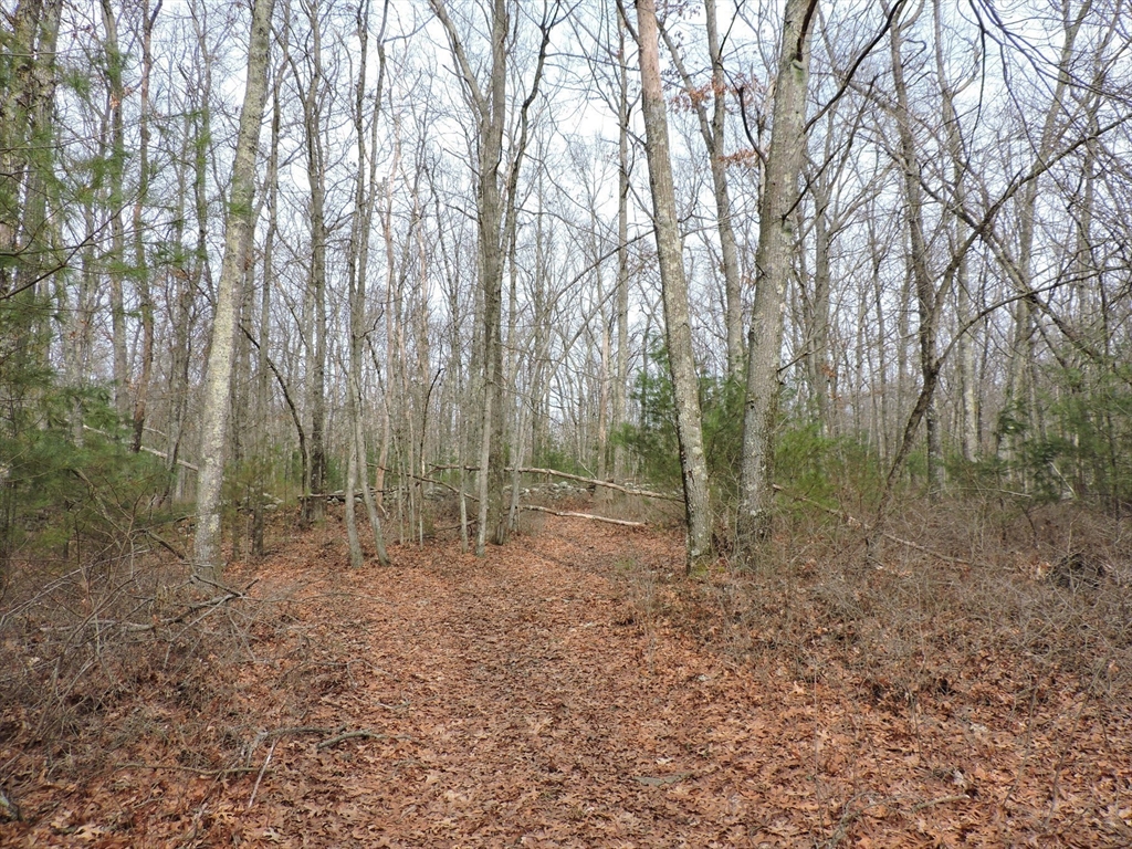 179 Upper Gore Road Webster, MA 01570 - Photo 22 of 42 a view of outdoor space and green space