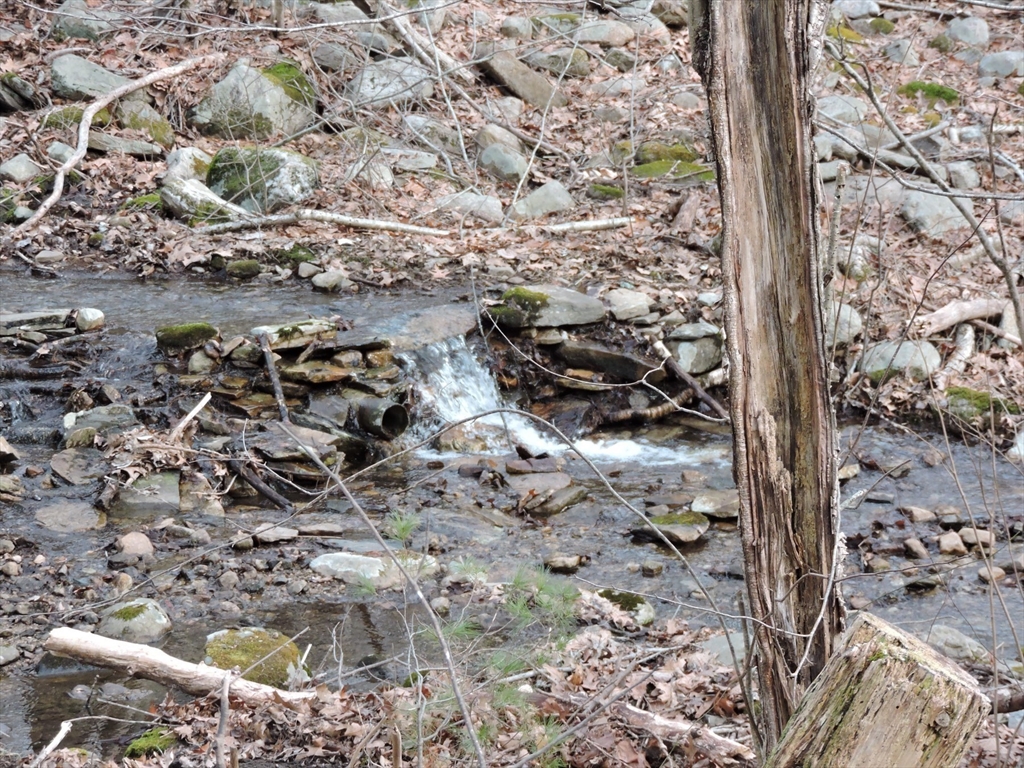 179 Upper Gore Road Webster, MA 01570 - Photo 24 of 42 a view of outdoor space