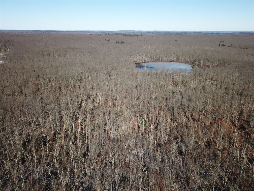 179 Upper Gore Road Webster, MA 01570 - Photo 26 of 42 a view of a dry yard