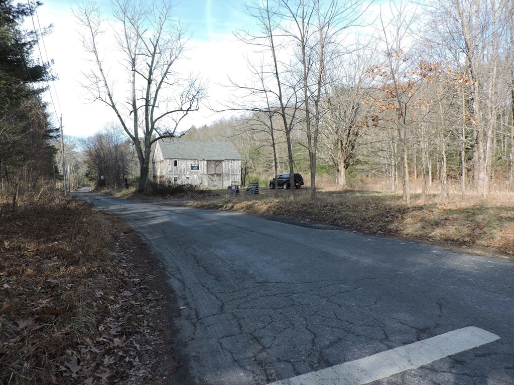 179 Upper Gore Road Webster, MA 01570 - Photo 3 of 42 a view of dirt yard with a large tree