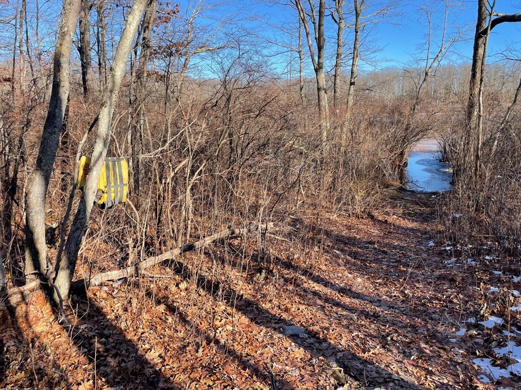 179 Upper Gore Road Webster, MA 01570 - Photo 33 of 42 a view of a outdoor space