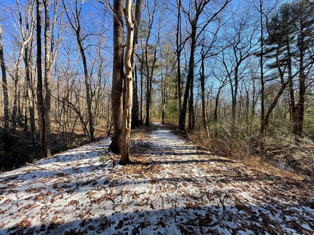 179 Upper Gore Road Webster, MA 01570 - Photo 34 of 42 a view of a tree with a yard