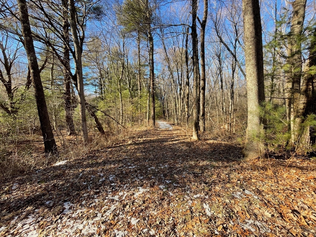 179 Upper Gore Road Webster, MA 01570 - Photo 36 of 42 a backyard of a house with lots of green space