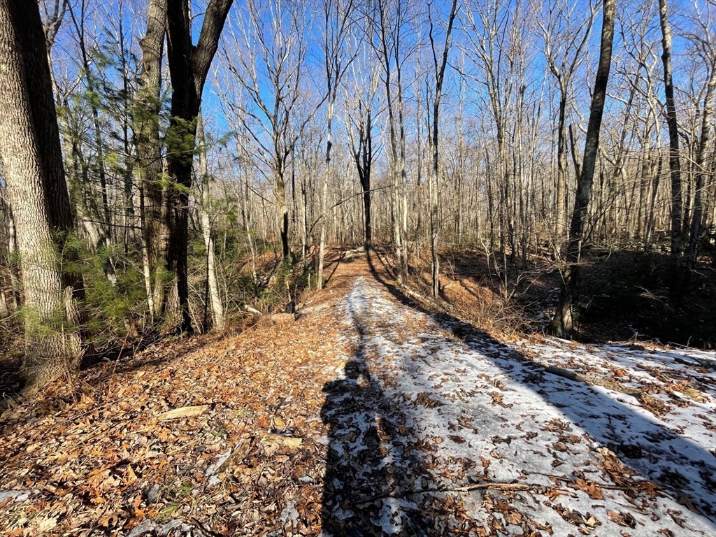 179 Upper Gore Road Webster, MA 01570 - Photo 37 of 42 a view of a backyard of the house
