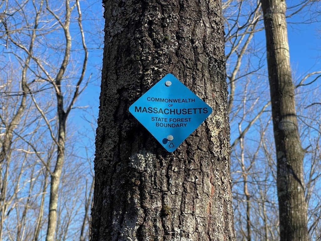 179 Upper Gore Road Webster, MA 01570 - Photo 42 of 42 a picture of trees