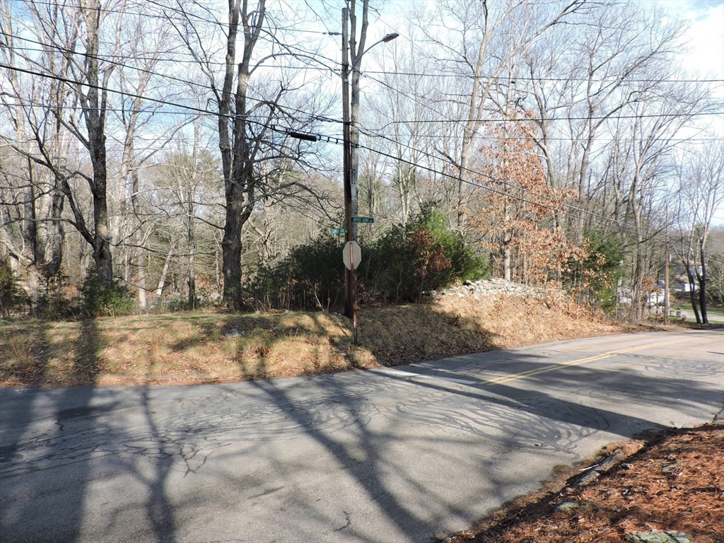 179 Upper Gore Road Webster, MA 01570 - Photo 5 of 42 a view of a yard with trees