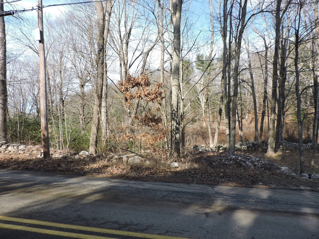 179 Upper Gore Road Webster, MA 01570 - Photo 10 of 42 a view of a yard with large trees