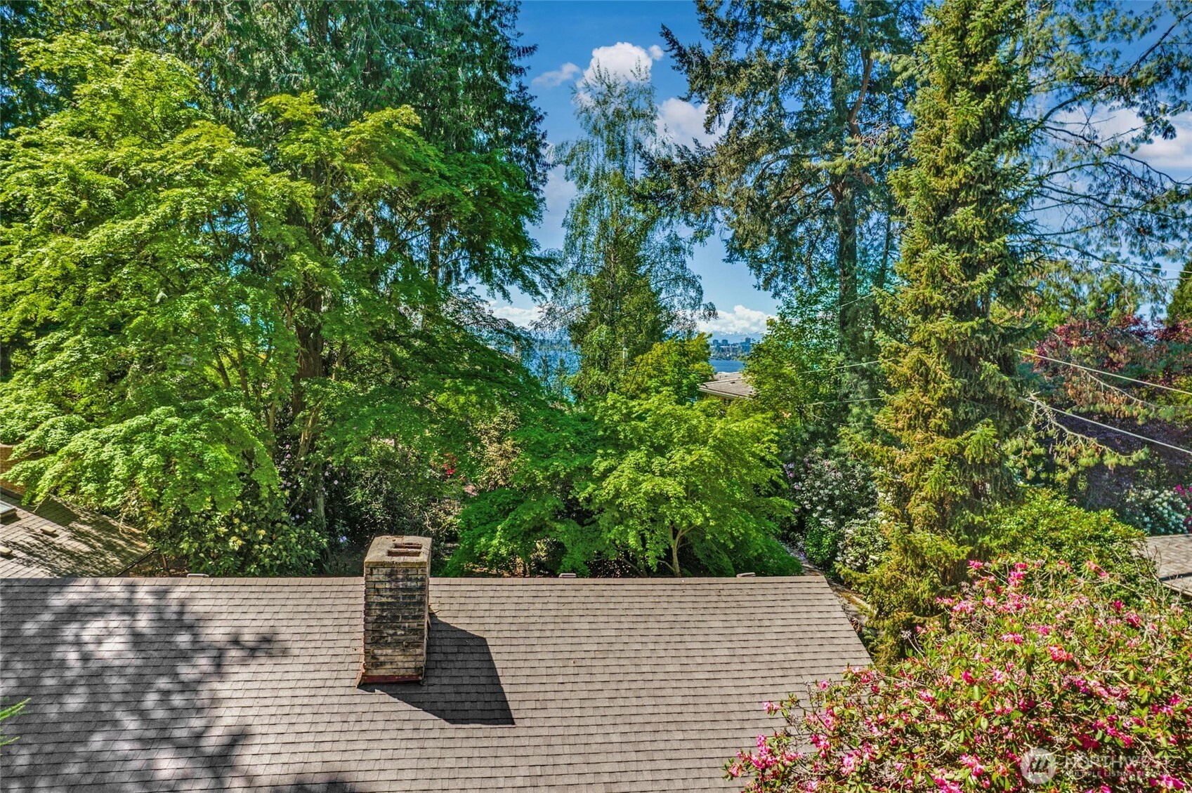 3419 Evergreen Point Road Medina, WA 98039 - Photo 35 of 39