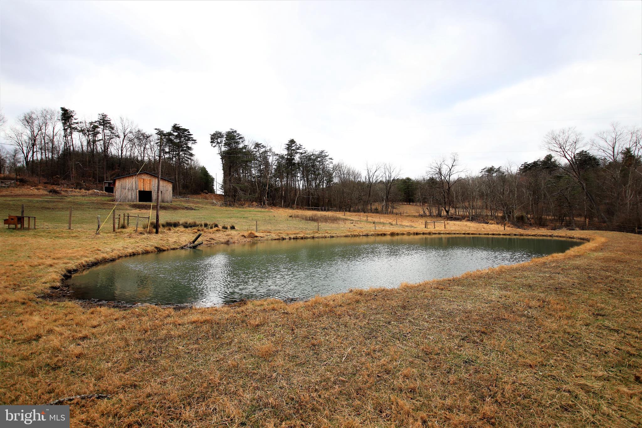 639 Packing House Road Berkeley Springs, WV 25411 - Photo 27 of 34 Stocked Pond
