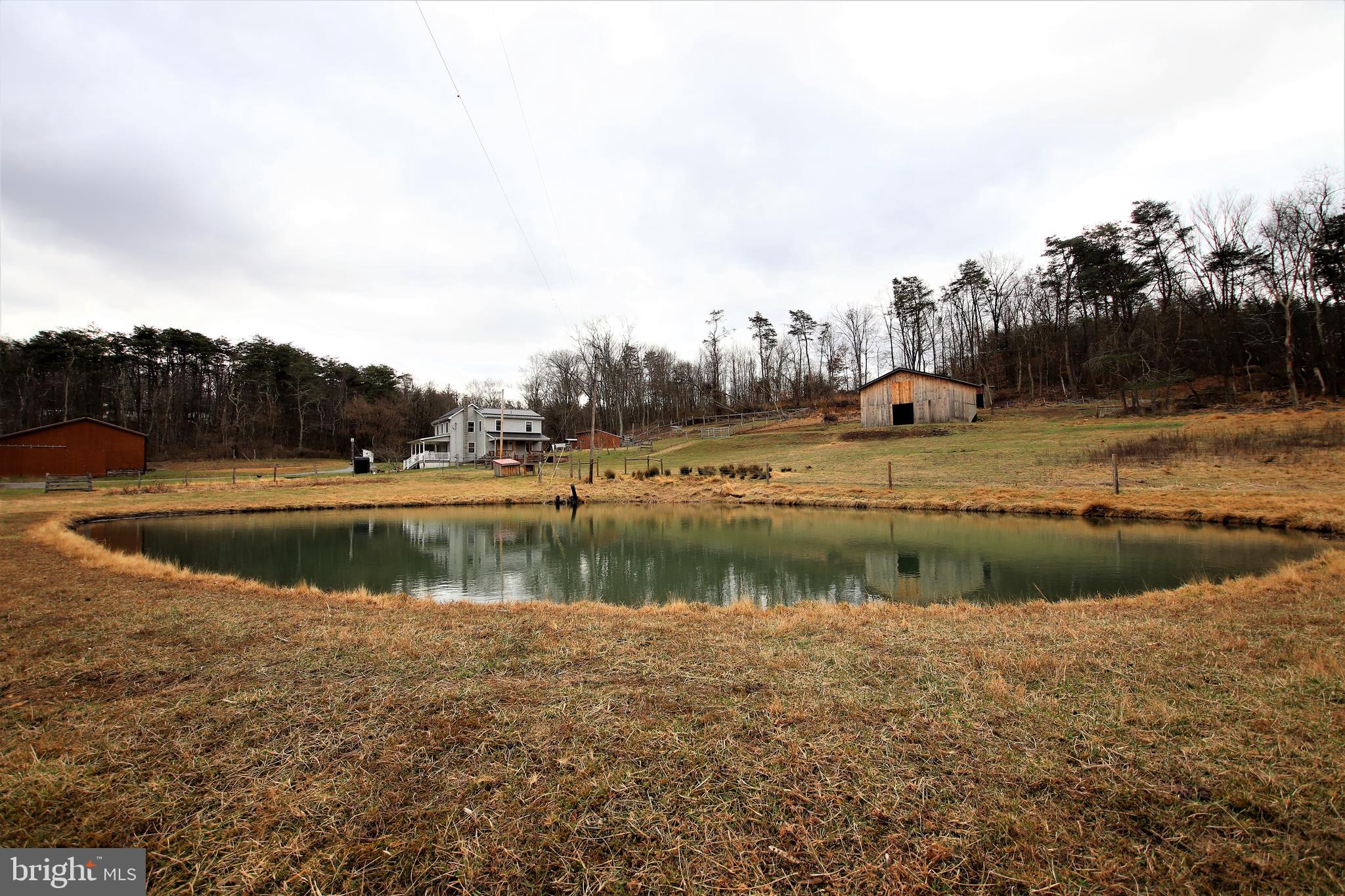 639 Packing House Road Berkeley Springs, WV 25411 - Photo 28 of 34 Stocked Pond