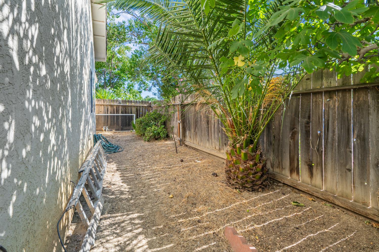 766 Willmott Road Los Banos, CA 93635 - Photo 33 of 40 Side yard