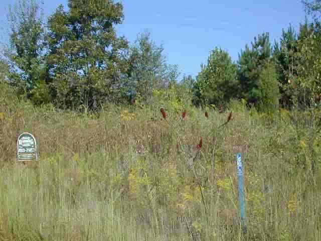 8 East Harper Ridge Drive Seneca, SC 29678 - Photo 4 of 6 Gallery Image 4