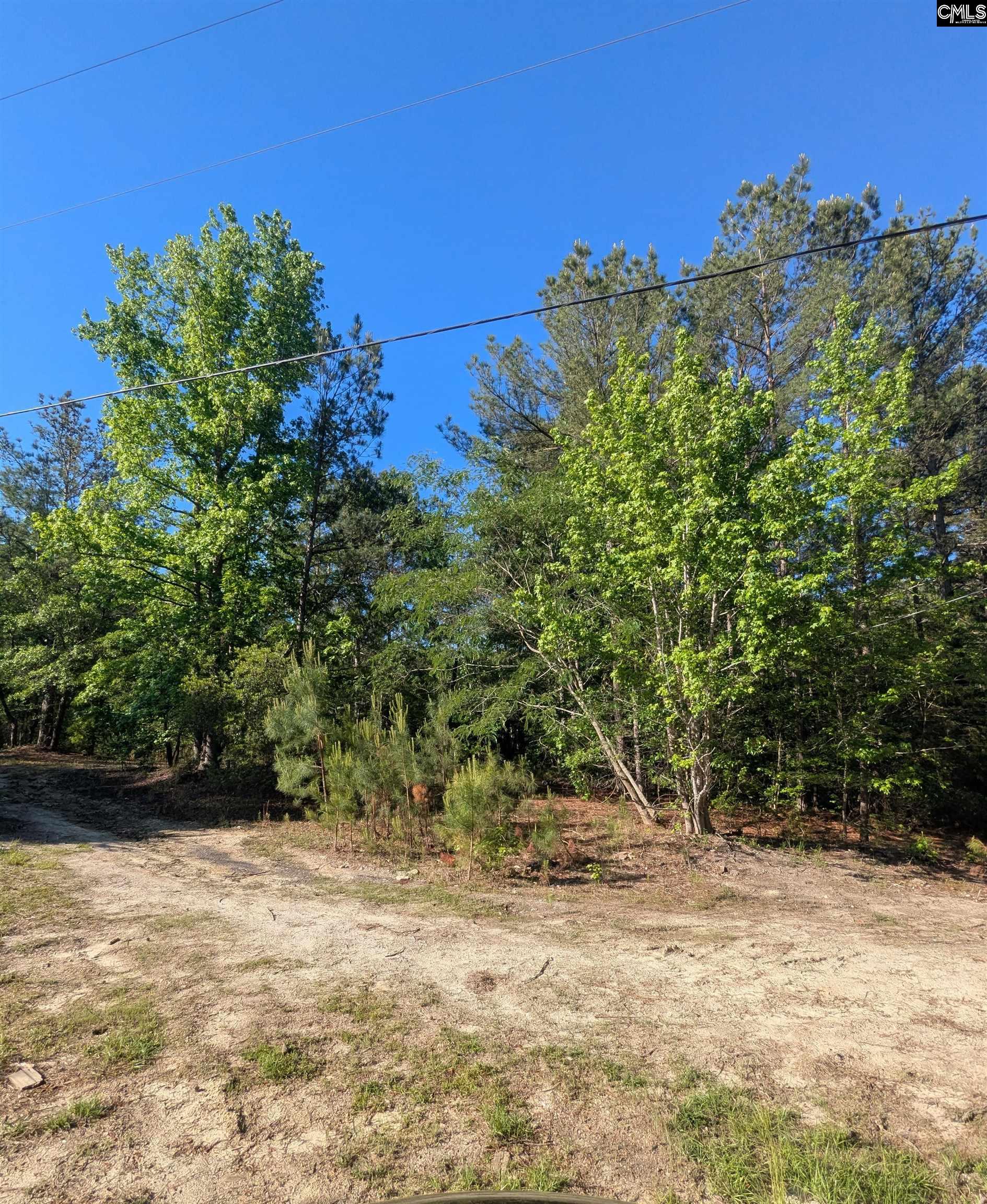 1089 Chestnut Hill Road Elgin, SC 29045 - Photo 14 of 17