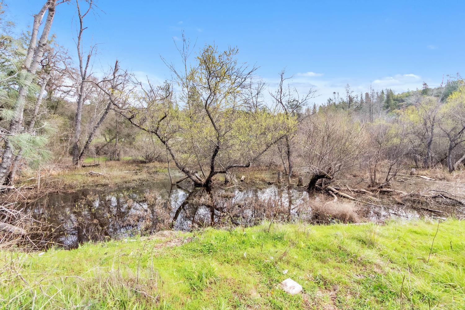 10121 Valley Drive Rough and Ready, CA 95975 - Photo 13 of 44 a view of swimming pool from a yard