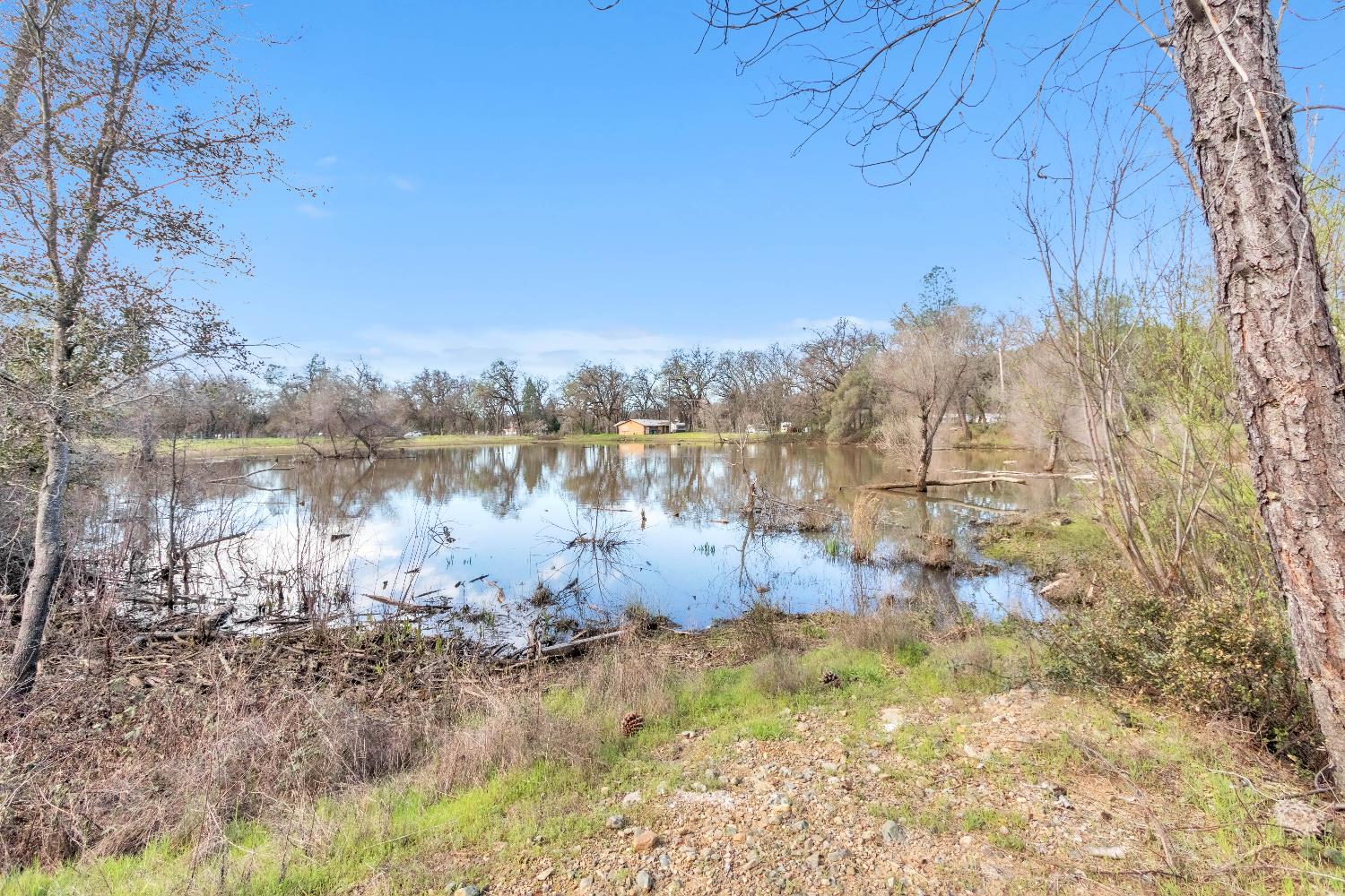 10121 Valley Drive Rough and Ready, CA 95975 - Photo 18 of 44 a view of lake with tree in the background