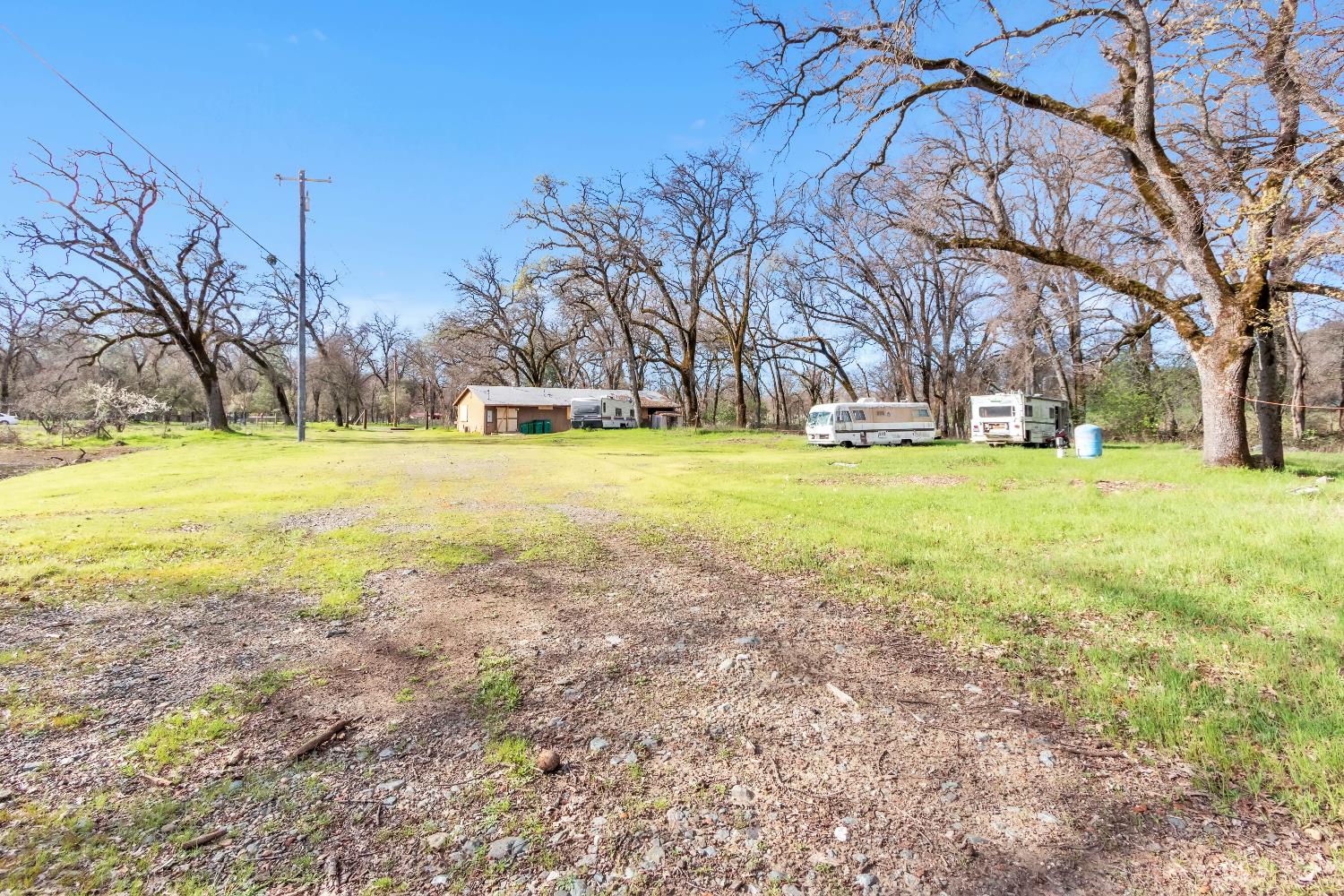 10121 Valley Drive Rough and Ready, CA 95975 - Photo 8 of 44 a view of a yard with a trees