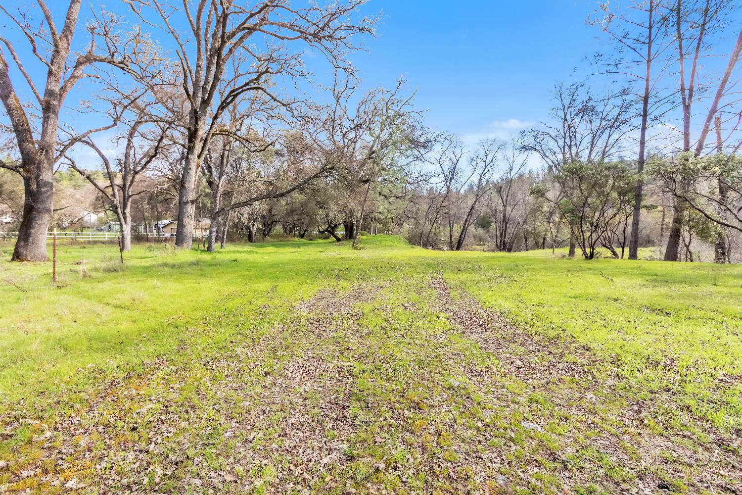 10121 Valley Drive Rough and Ready, CA 95975 - Photo 9 of 44 a view of a field with trees in the background