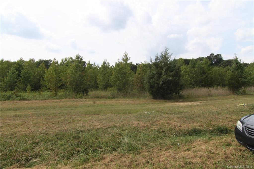 0 County Line Road Bessemer City, NC 28016 - Photo 3 of 5 a view of outdoor space and yard
