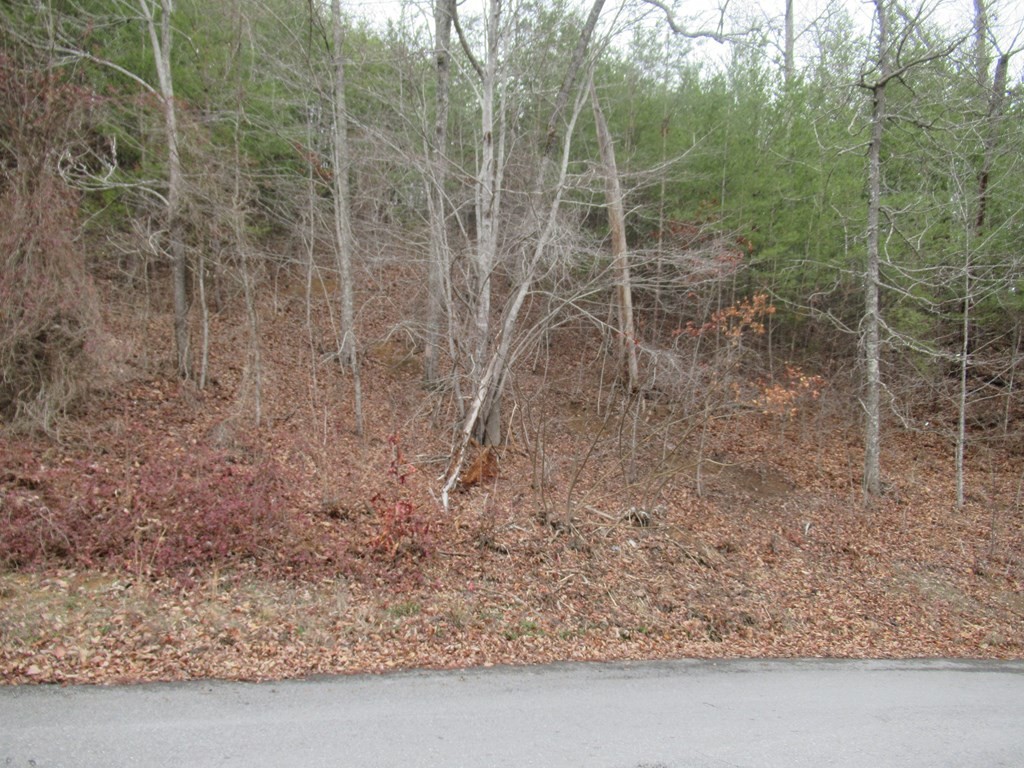 156 Bear Valley Road Sevierville, TN 37876 - Photo 4 of 15