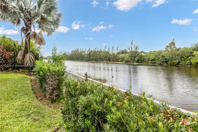 a body of water with a tree in the background
