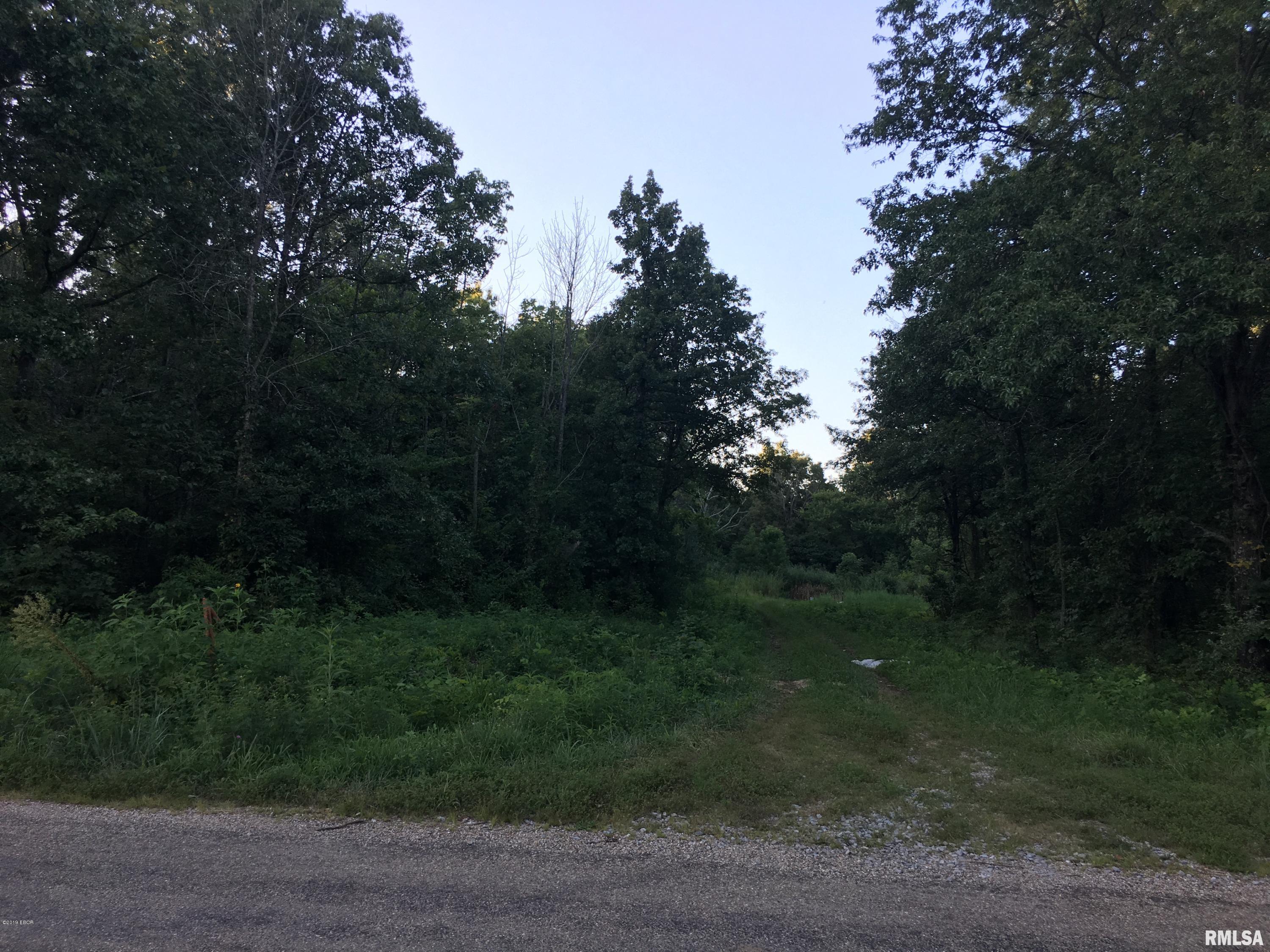 0 Lazy Acre Road Salem, IL 62881 - Photo 1 of 10