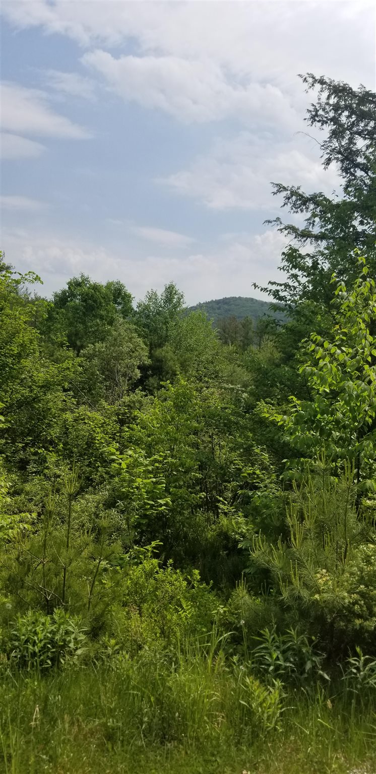 0 Remington Road, Unit LOT 2 Chester, VT 05143 - Photo 5 of 5