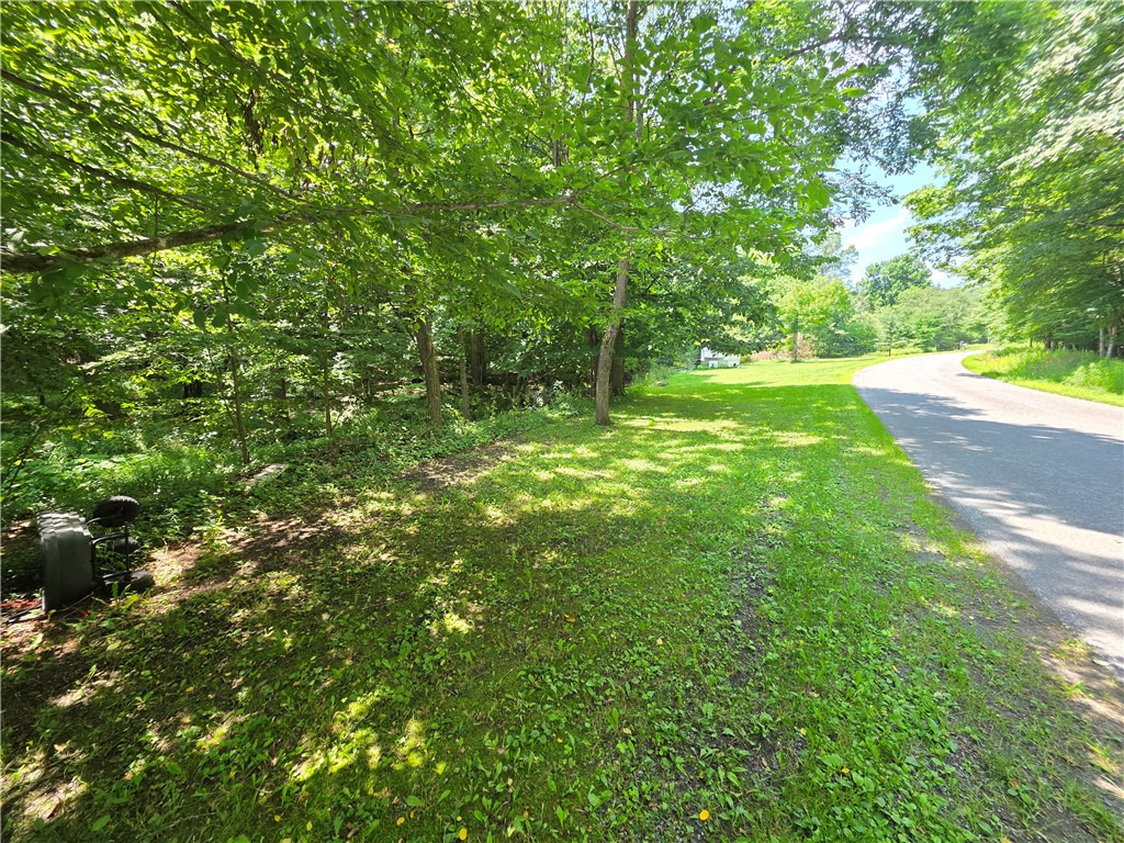 219 Lulu Coon Road Unadilla, NY 13849 - Photo 3 of 40