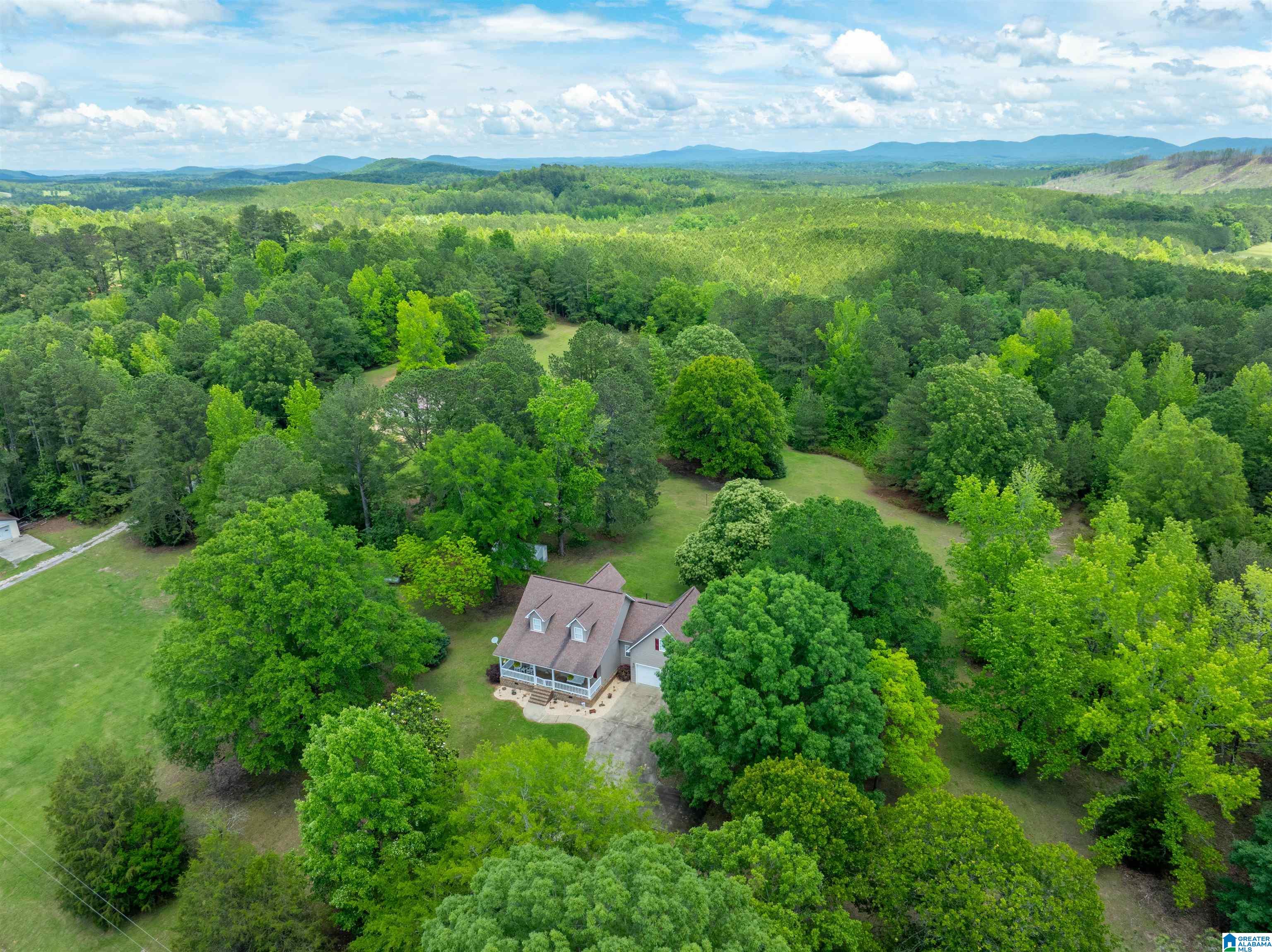 36 Woodlawn Road Piedmont, AL 36272 - Photo 44 of 53