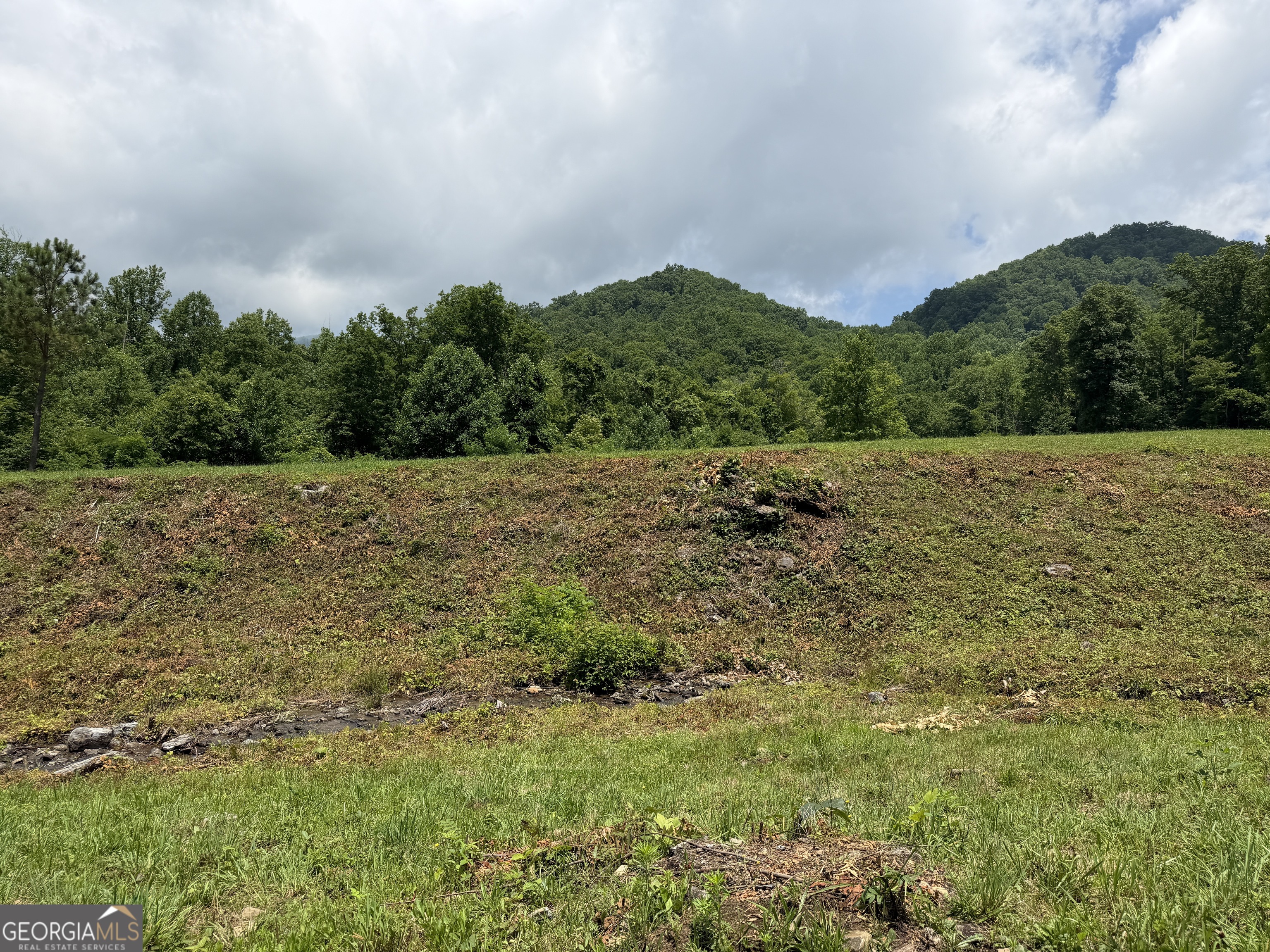 1449 Muskrat Creek Road Hayesville, NC 28904 - Photo 68 of 95