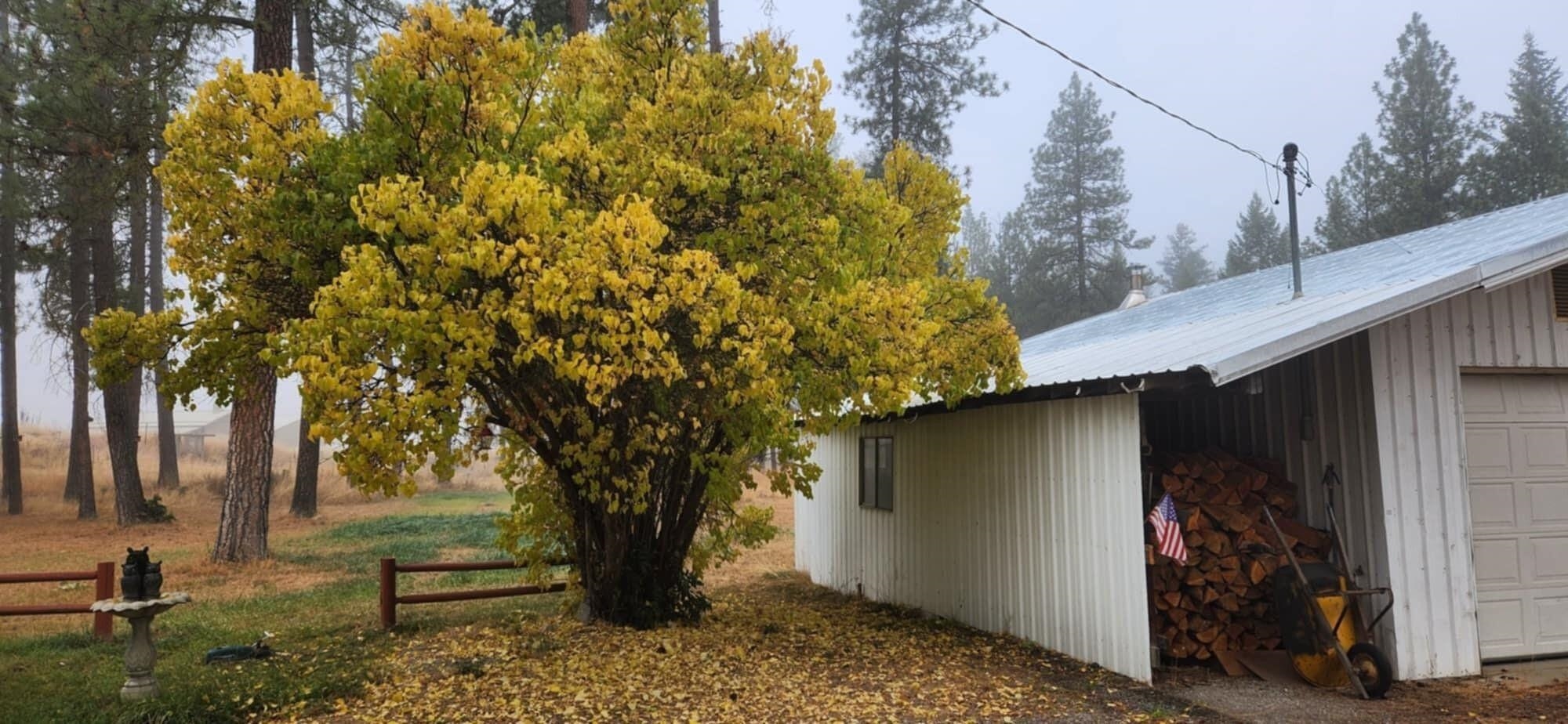325 Douglas Falls Road Colville, WA 99114 - Photo 37 of 50