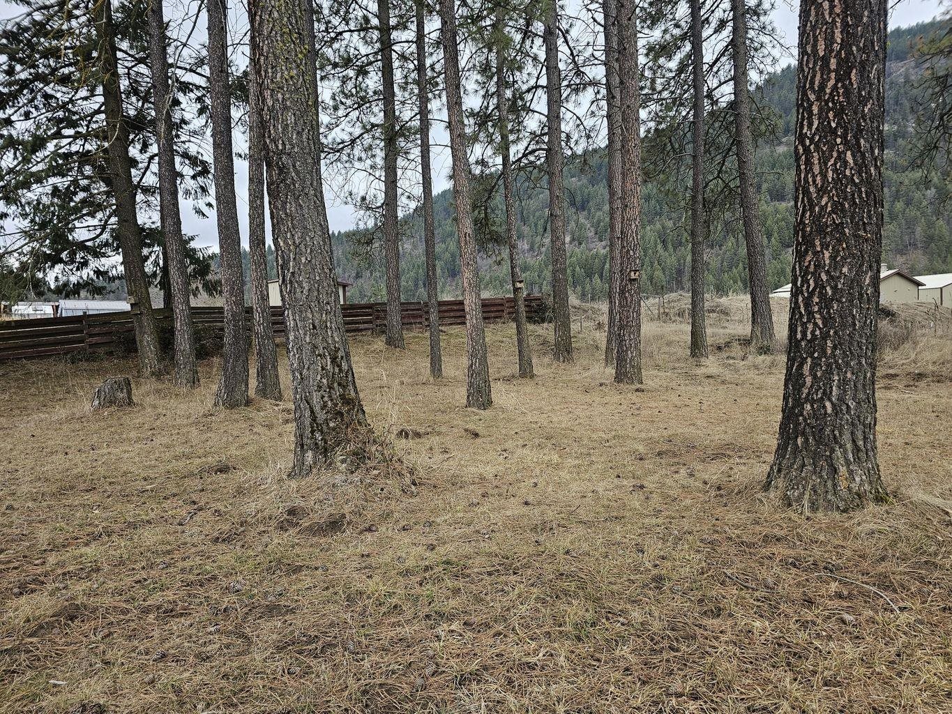 325 Douglas Falls Road Colville, WA 99114 - Photo 44 of 50