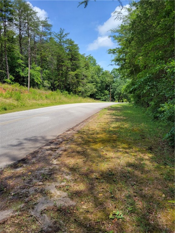 0 Tabor Ramp Road Westminster, SC 29693 - Photo 3 of 11 Road Front View