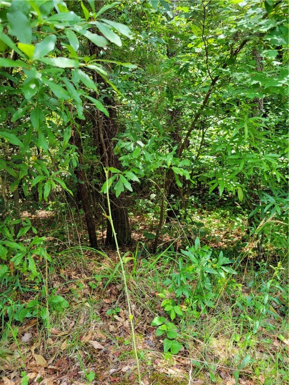 0 Tabor Ramp Road Westminster, SC 29693 - Photo 4 of 11 Lot 49