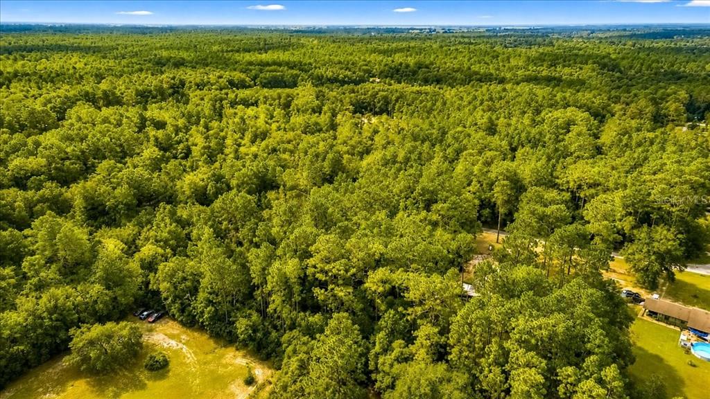 0 Southwest 34th Street Dunnellon, FL 34432 - Photo 8 of 14 Gallery Image 8