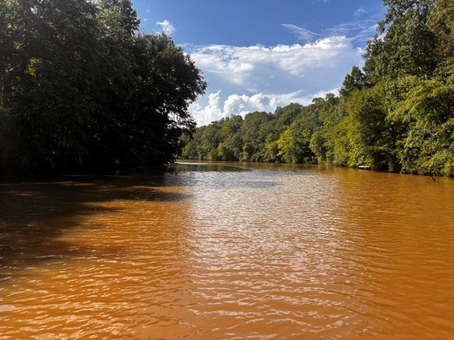 631 Lee Road 0889 Salem, AL 36874 - Photo 2 of 13 a view of a lake view