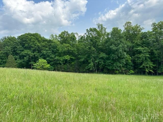 4636 Salem Road Spout Spring, VA 24593 - Photo 6 of 9 Gallery Image 6