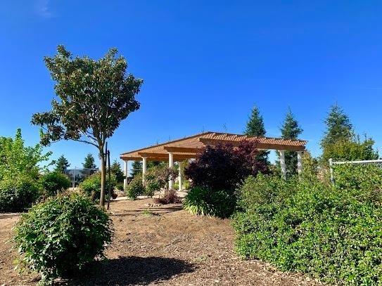 21196 Steward Road Madera, CA 93638 - Photo 14 of 39 a view of a house with a yard and garden