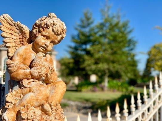 21196 Steward Road Madera, CA 93638 - Photo 16 of 39 a close up of a sink