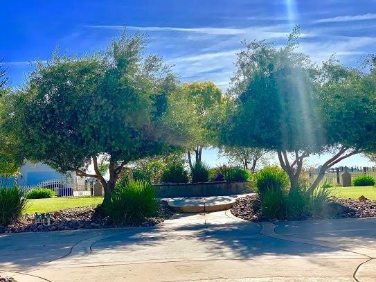 21196 Steward Road Madera, CA 93638 - Photo 36 of 39 a view of a yard with plants and large trees