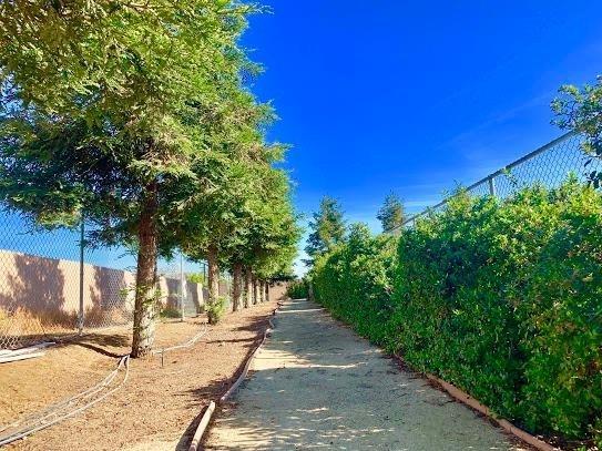 21196 Steward Road Madera, CA 93638 - Photo 7 of 39 a view of a pathway of a yard